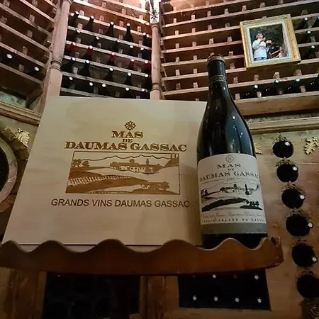 Hostellerie Saint Benoit Hotel Aniane